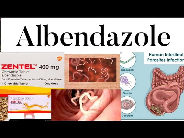 84% of 'population' ingested Albendazole