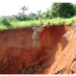 The danger of gully erosion is increasing in the world
