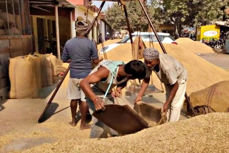 Procurement of paddy in India's foodgrains reserves is in full swing