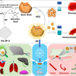 INST scientists develop novel nano-cup based technology for cancer treatment
