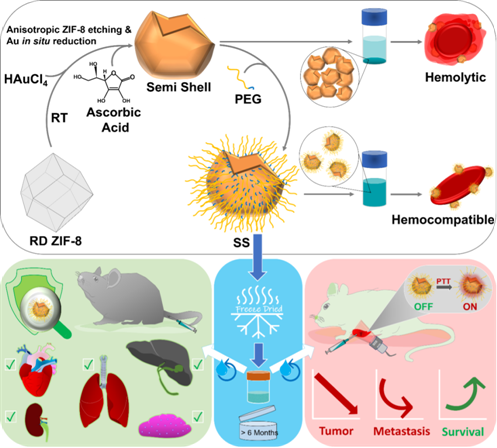 INST scientists develop novel nano-cup based technology for cancer treatment