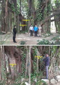 बिहार के मुंगेर में मिला देश का सबसे पुराना वैज्ञानिक रूप से प्रमाणित बरगद का पेड़, रेडियोकार्बन डेटिंग से हुई 700 वर्ष आयु की पुष्टि